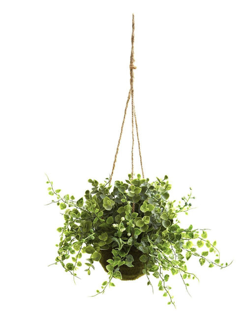 Load image into Gallery viewer, Eucalyptus, Maiden Hair &amp; Berry Hanging Basket (Set of 3) by Nearly Natural
