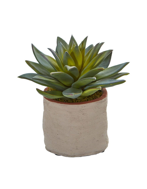 Load image into Gallery viewer, Mixed Succulent Artificial Plant (Set of 4) by Nearly Natural

