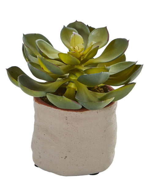 Load image into Gallery viewer, Mixed Succulent Artificial Plant (Set of 4) by Nearly Natural
