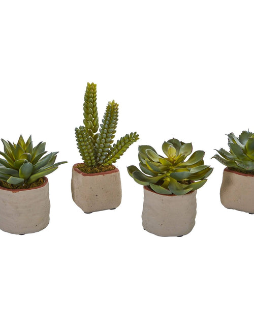 Load image into Gallery viewer, Mixed Succulent Artificial Plant (Set of 4) by Nearly Natural
