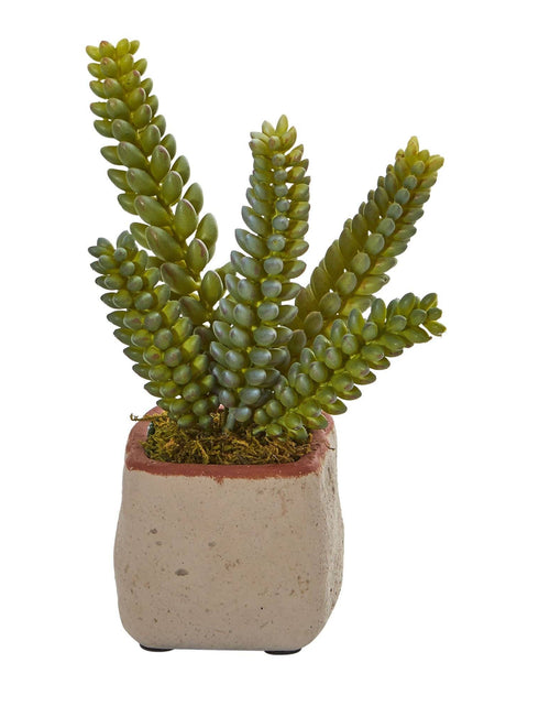 Load image into Gallery viewer, Mixed Succulent Artificial Plant (Set of 4) by Nearly Natural
