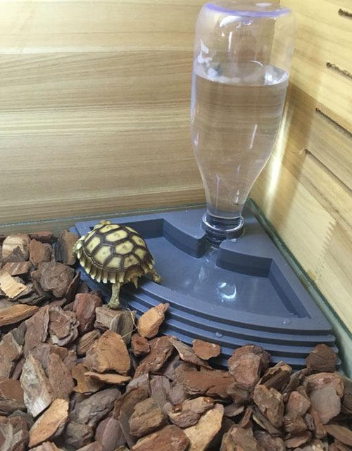 Load image into Gallery viewer, Automatic Reptile Feeding Tray And Drinking Fountain by Dog Hugs Cat
