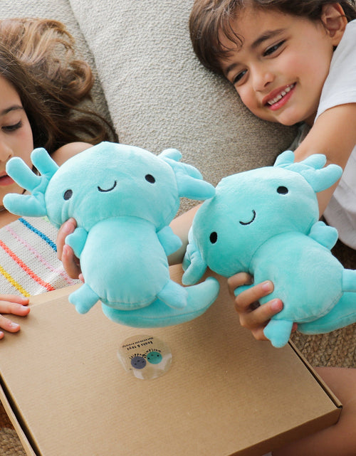 Load image into Gallery viewer, Hermelindo, Axolotl Plush Toy by Worldwide Buddies

