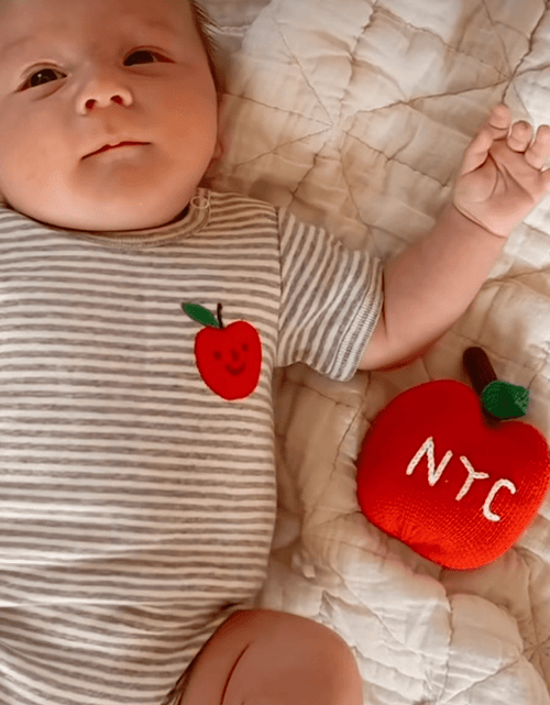 Load image into Gallery viewer, Organic Baby Gift Set, Food Onesie &amp; Rattle by Estella

