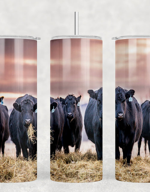 Load image into Gallery viewer, Black Angus Cattle|Skinny Tumbler|Optional Bluetooth Speaker| Speaker Color Varies by Rowdy Ridge Co
