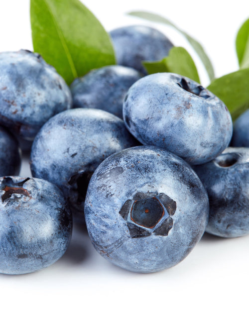 Load image into Gallery viewer, Super Fruits Blueberry Exfoliating Cleanser by EarthToSkin
