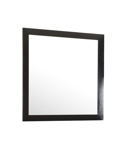 Load image into Gallery viewer, Modern Design Transitional Wall Mirror by Couch.com
