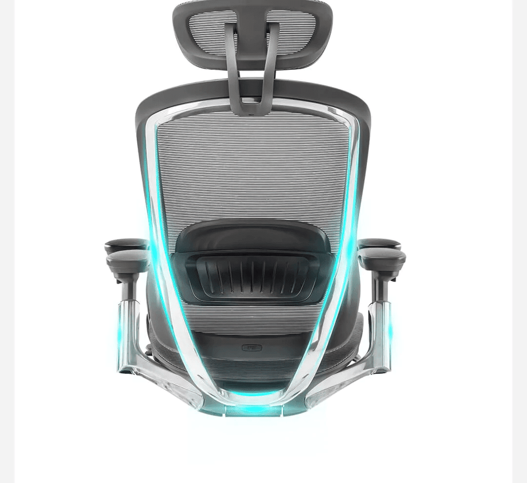 CeliniChair Executive Mesh Ergonomic Office Chair by EFFDESK - Black by Level Up Desks