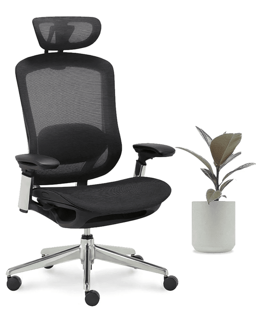 Load image into Gallery viewer, CeliniChair Executive Mesh Ergonomic Office Chair by EFFDESK - Black by Level Up Desks
