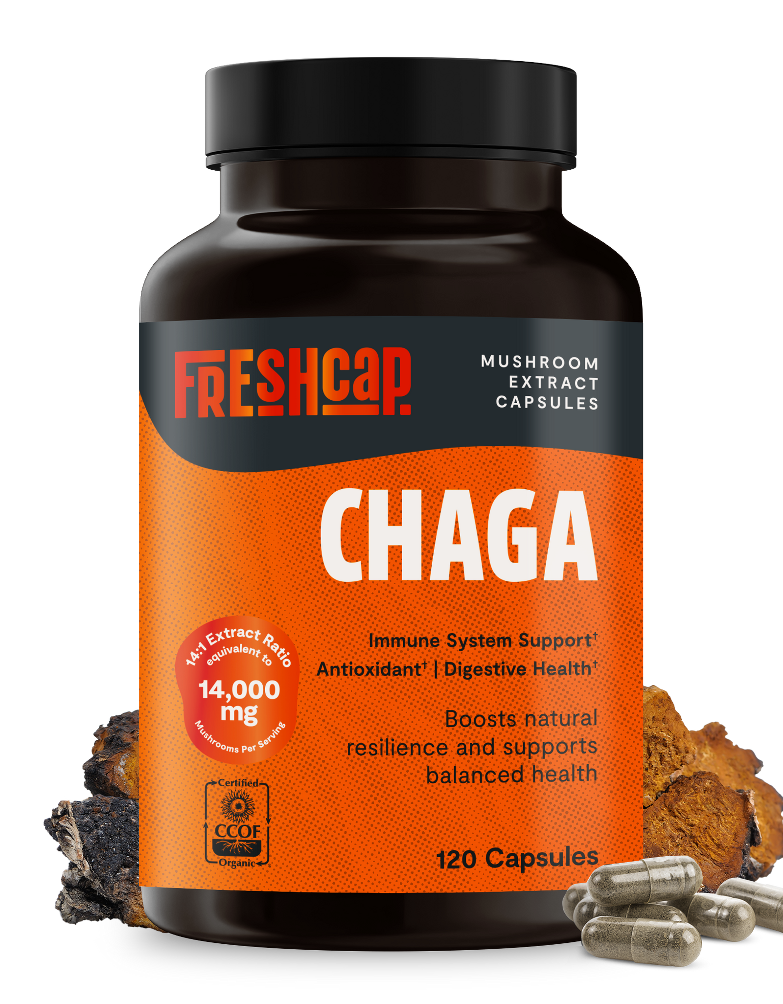 Chaga Mushroom Extract Capsules
