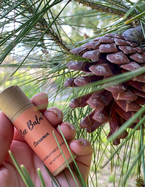Load image into Gallery viewer, Bee Balm Cinnamon Lip Balm Sticks - 6 Sticks by Farm2Me
