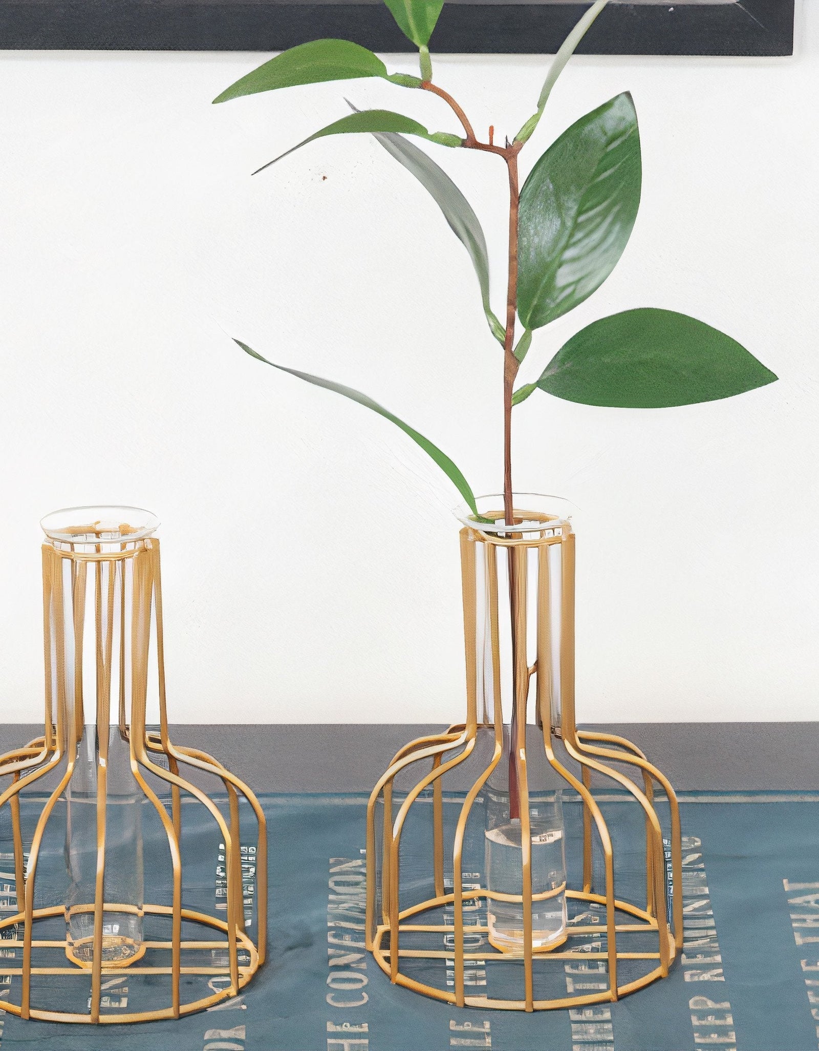 Becky Planter-Round by ClaudiaG Collection