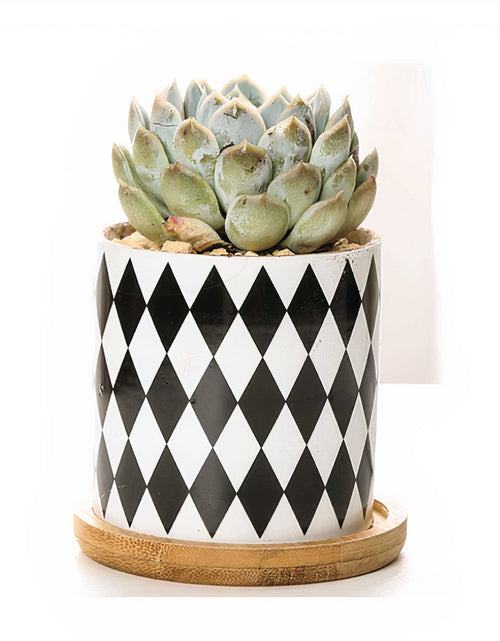 Load image into Gallery viewer, B&amp;W Planters Set of 3 by ClaudiaG Collection
