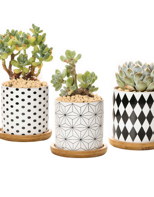 Load image into Gallery viewer, B&amp;W Planters Set of 3 by ClaudiaG Collection
