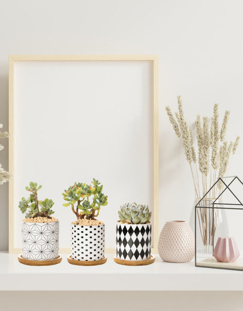 Load image into Gallery viewer, B&amp;W Planters Set of 3 by ClaudiaG Collection
