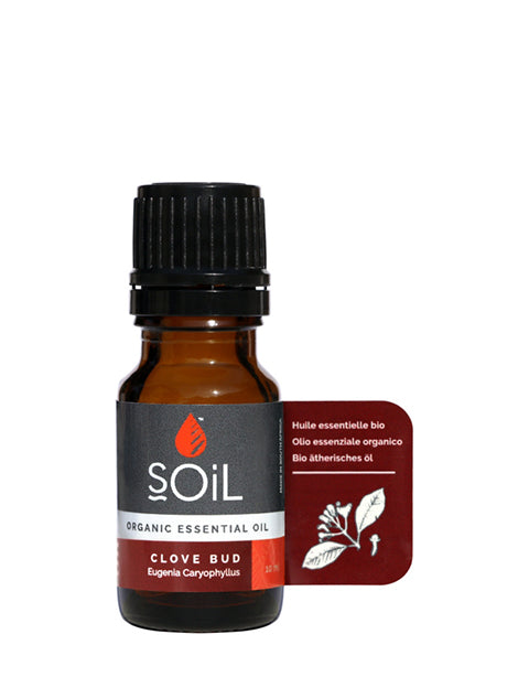Load image into Gallery viewer, Organic Clove Bud Essential Oil (Eugenia Caryophillus) 10ml by SOiL Organic Aromatherapy and Skincare
