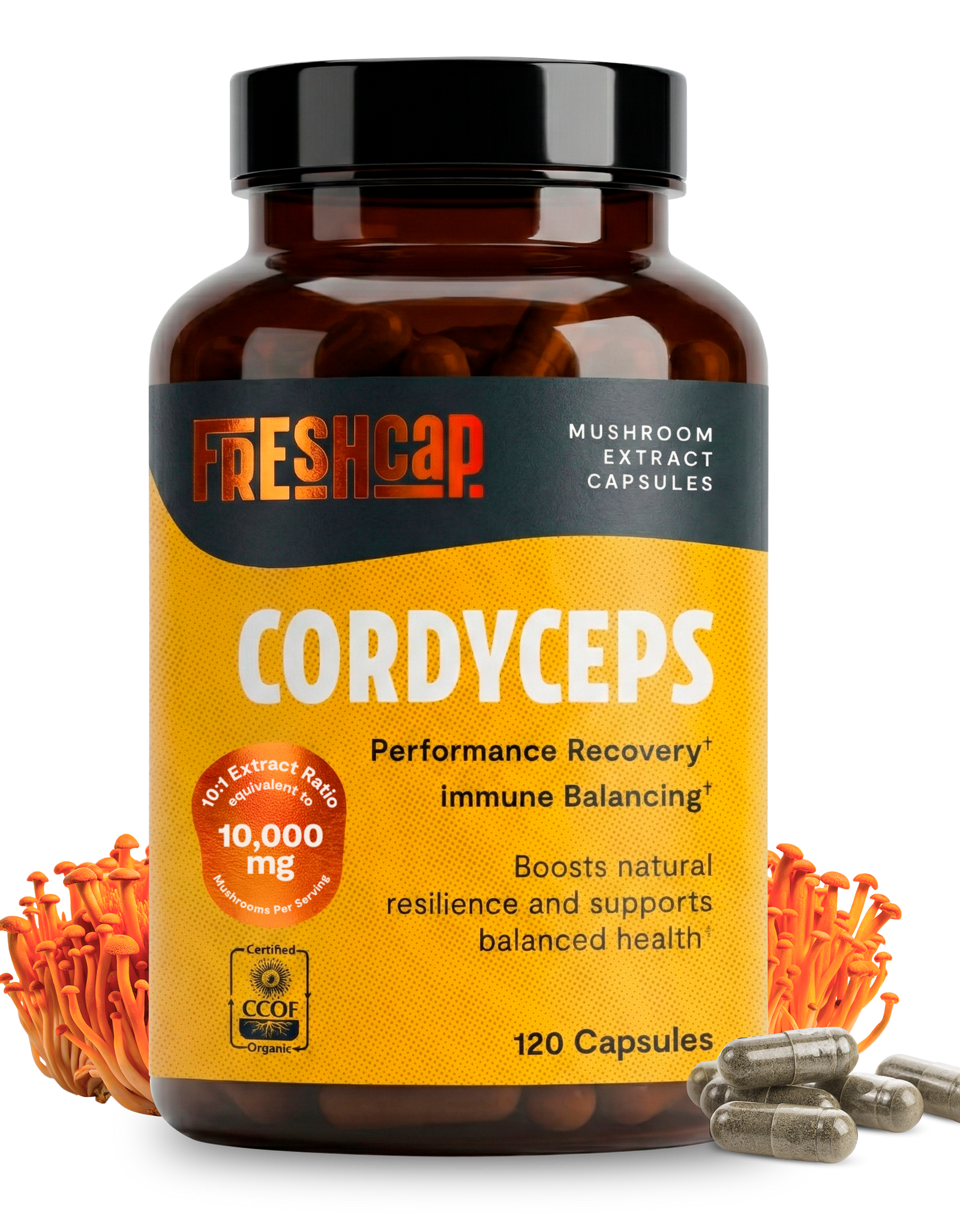 Organic Cordyceps Mushroom Supplement Capsules