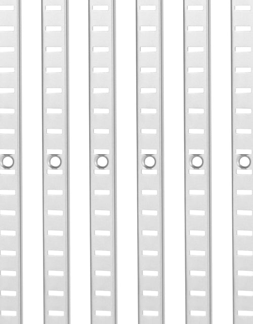 Load image into Gallery viewer, Shelf Track 36.3-inch 6 Pack Adjustable Steel Wall Mounted Shelf Pilaster
