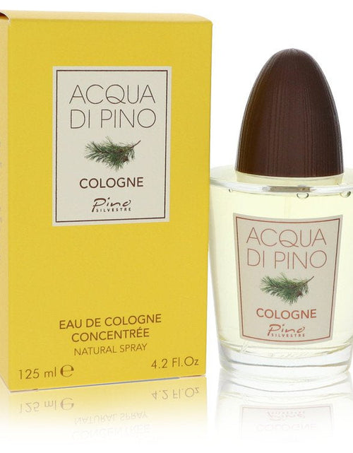 Load image into Gallery viewer, Acqua Di Pino by Pino Silvestre Eau De Cologne Concentree Spray
