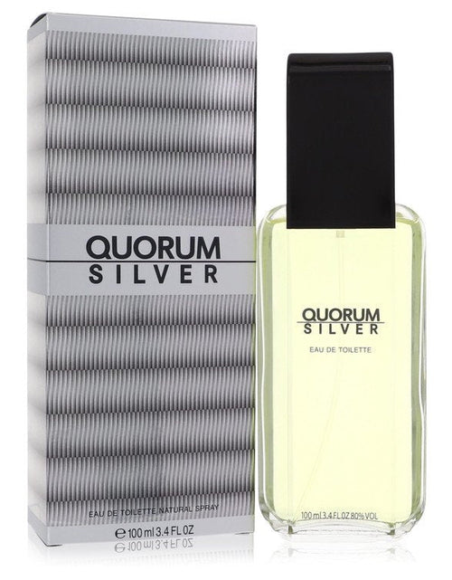 Load image into Gallery viewer, Quorum Silver by Puig Eau De Toilette Spray
