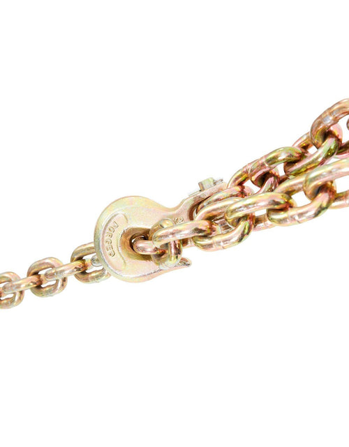 Load image into Gallery viewer, Transport Binder Chain, 7100lbs Working Load Limit, 3/8''x20' G80 Tow Chain Tie Down with Grab Hooks, DOT Certified, Galvanized Coating Manganese Steel for Dock Factory Construction Site, 2 Pack
