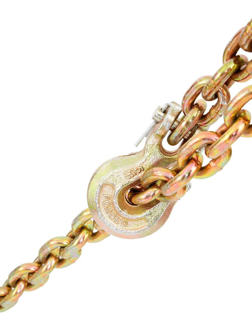 Load image into Gallery viewer, Transport Binder Chain, 4900lbs Working Load Limit, 5/16''x20' G80 Tow Chain Tie Down with Grab Hooks, DOT Certified, Galvanized Coating Manganese Steel for Dock Factory Construction Site, 2Pack
