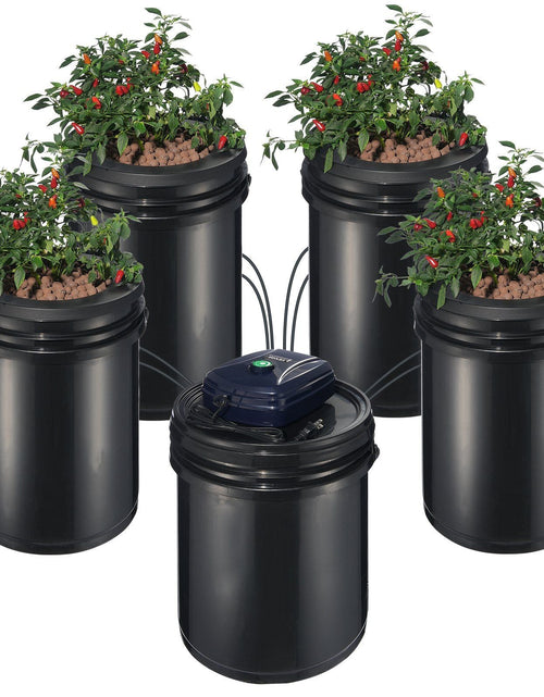 Load image into Gallery viewer, RDWC Hydroponics System Recirculating Deep Water Culture 4 Buckets 5 Gal
