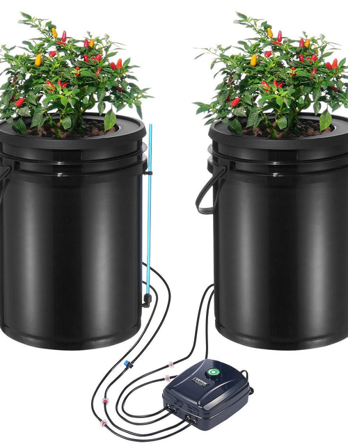 Load image into Gallery viewer, DWC Hydroponics Grow System, Hydroponic Growing System with Top Drip Kit, Deep Water Culture 5-Gallon 2 Buckets, with Air Pump, Air Stones and Water Level Device for Leafy Vegetables
