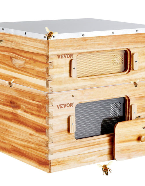 Load image into Gallery viewer, Bee Hive 20 Frame Bee Hives Starter Kit, Beeswax Coated Cedar Wood, 1 Deep + 1 Medium Bee Boxes Langstroth Beehive Kit, Transparent Acrylic Windows with Foundations for Beginners Pro Beekeepers
