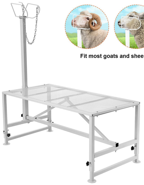 Load image into Gallery viewer, Goat &amp; Sheep Stand, 47x23 inch Livestock Stand, Metal Livestock Milking and Shearing Stand 21" to 33" Adjustable Height, with Headpiece and Nose Loop, 500lbs Loading Weight, White
