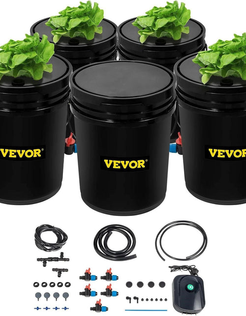 Load image into Gallery viewer, DWC Hydroponic System, 5 Gallon 5 Buckets, Deep Water Culture Growing Bucket, Hydroponics Grow Kit with Pump, Air Stone and Connected Reservoir, for Indoor/Outdoor Leafy Vegetables
