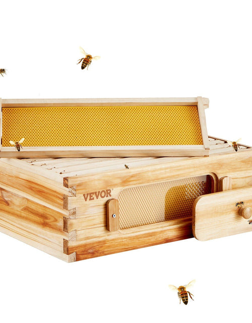 Load image into Gallery viewer, Bee Hive Medium Box Starter Kit, 100% Beeswax Coated Natural Cedar Wood, Langstroth Beehive Kit with 10 Frames and Foundations, Transparent Acrylic Bee Windows for Beginners and Pro Beekeepers
