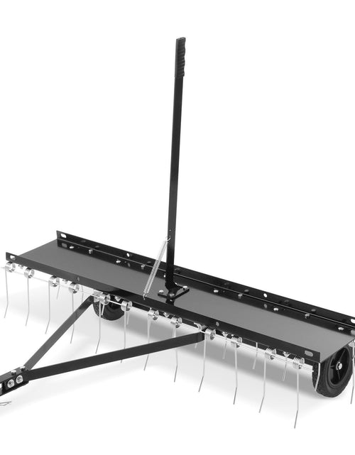 Load image into Gallery viewer, Tow Behind Dethatcher, 48-inch Tow Dethatcher with 24 Spring Steel Tines, Lawn Dethatcher Rake for ATV or Mower, Tow Behind Lawn Rake with Lift Handle for Garden Farm Grass
