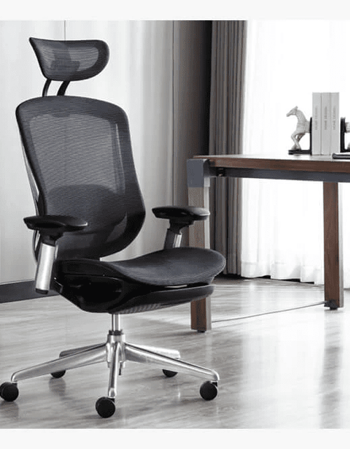 Load image into Gallery viewer, CeliniChair Executive Mesh Ergonomic Office Chair by EFFDESK - Black by Level Up Desks
