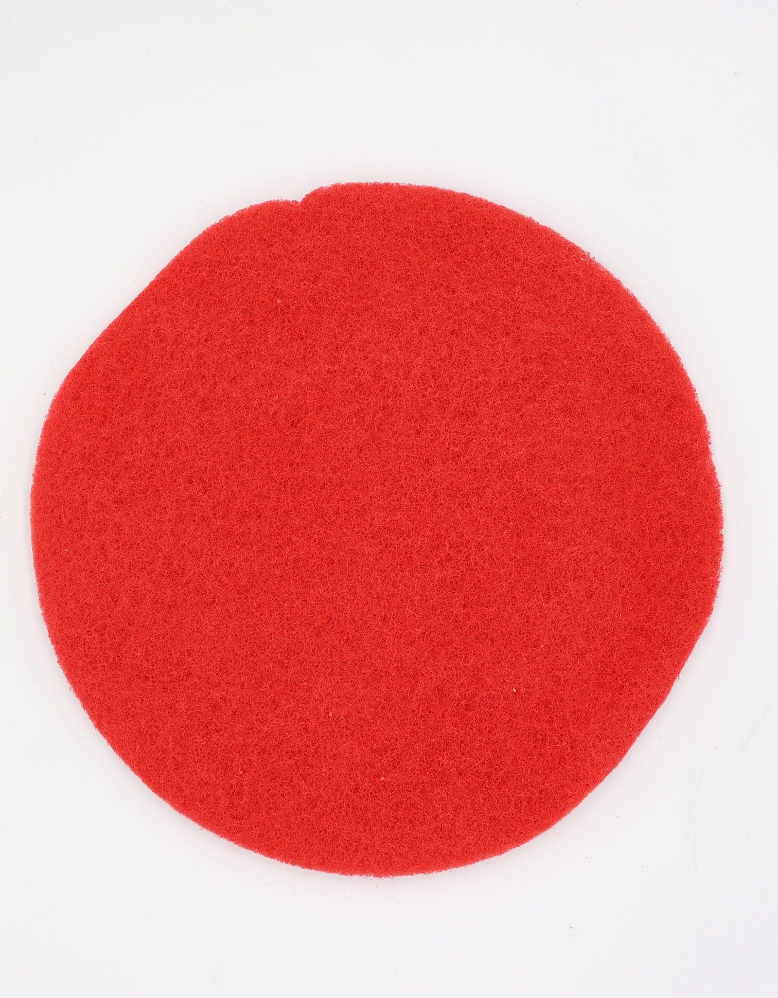 One Medium Duty Rough Scrubbing Pad For The 15" Prolux Core Floor Buffer by Prolux Cleaners