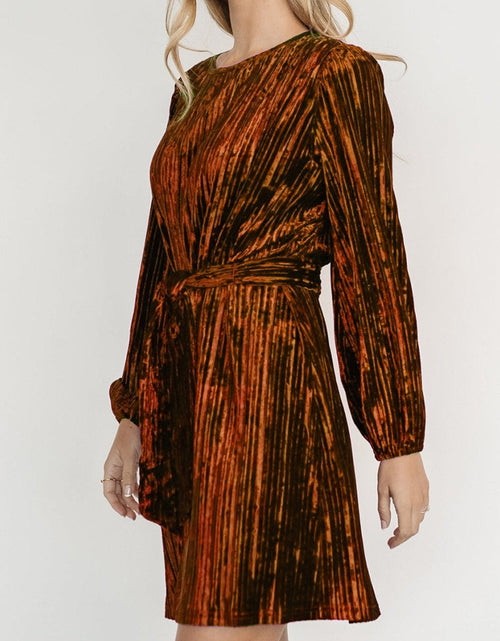 Load image into Gallery viewer, Velvet Round Neck Tie Waist Long Sleeve Mini Dress
