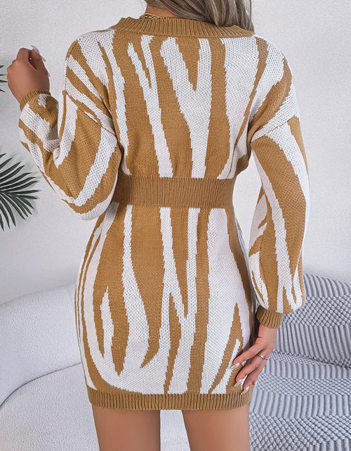 Load image into Gallery viewer, Animal Print V-Neck Long Sleeve Sweater Dress
