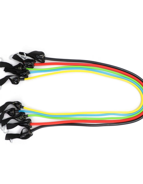Load image into Gallery viewer, Full Body Workout - Max Resistance Tube Kit by Jupiter Gear
