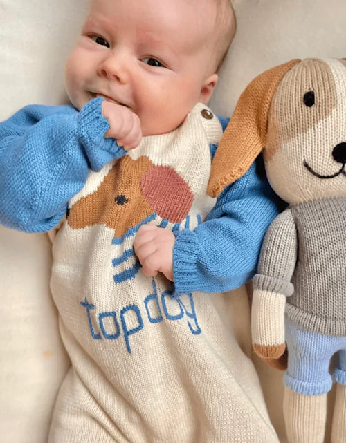 Load image into Gallery viewer, Organic Knit Doll, Frank Dog by Estella
