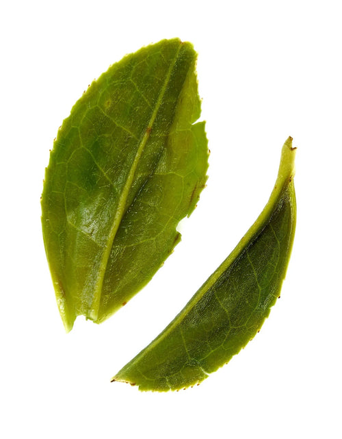 Load image into Gallery viewer, Rare Leaves Emerald - Single Estate Pi Lo Chun Green Tea
