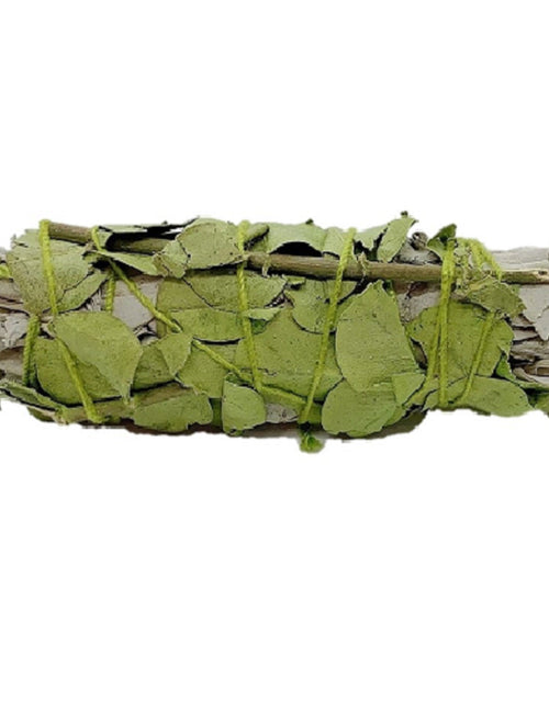 Load image into Gallery viewer, Sustainably Harvested White Sage &amp; Eucalyptus Smudge Stick 4" by OMSutra

