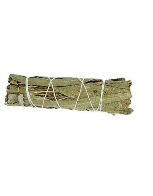 Load image into Gallery viewer, Eucalyptus smudging Bundle 3"- 4" Long by OMSutra
