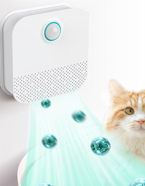 Load image into Gallery viewer, Clean Scent Cat Odor Eliminator by Dog Hugs Cat
