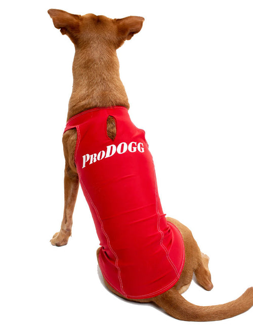 Load image into Gallery viewer, PRODOGG™ Anti-Anxiety Compression Shirt - Large to 2XL 159101B by InstantFigure INC

