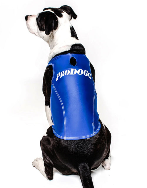 Load image into Gallery viewer, PRODOGG™ Anti-Anxiety Compression Shirt - Large to 2XL 159101B by InstantFigure INC
