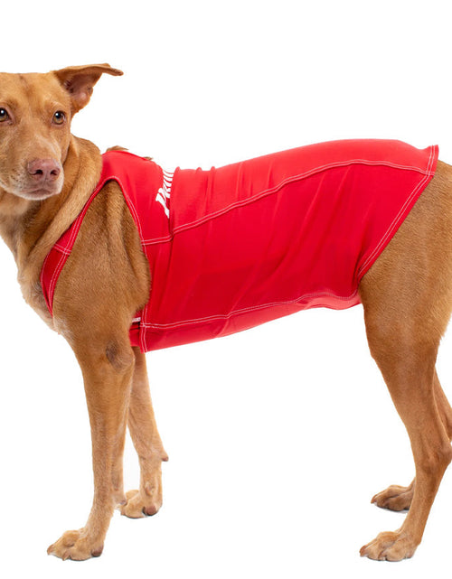 Load image into Gallery viewer, PRODOGG™ Anti-Anxiety Compression Shirt - Large to 2XL 159101B by InstantFigure INC
