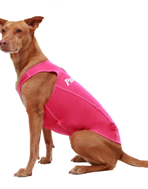 Load image into Gallery viewer, PRODOGG™ Anti-Anxiety Compression Shirt - Large to 2XL 159101B by InstantFigure INC

