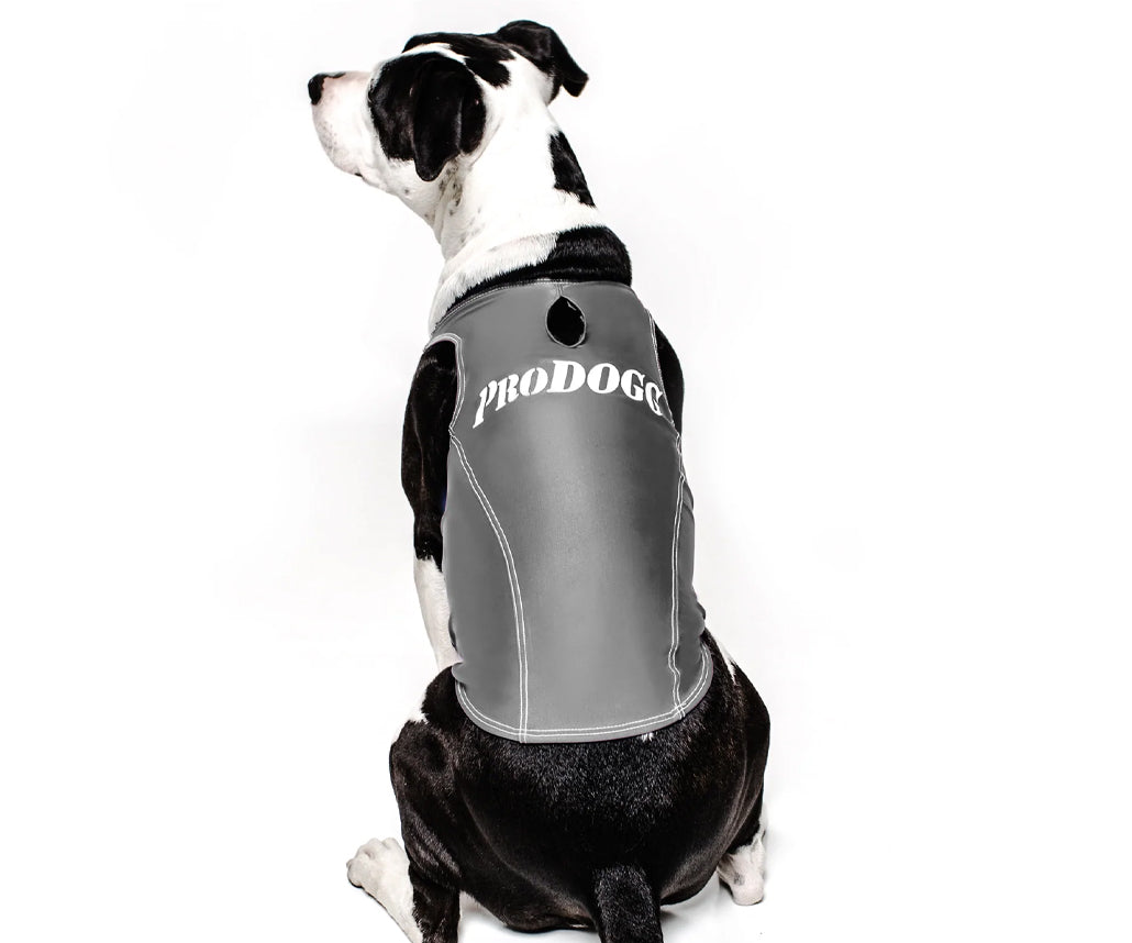 PRODOGG™ Anti-Anxiety Compression Shirt - Large to 2XL 159101B by InstantFigure INC