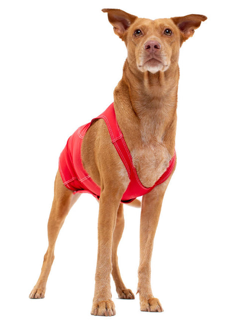 Load image into Gallery viewer, PRODOGG™ Anti-Anxiety Compression Shirt - Large to 2XL 159101B by InstantFigure INC
