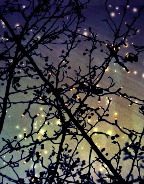 Load image into Gallery viewer, Firefly by Wicked Good Perfume
